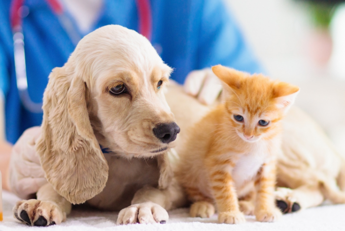 Лабораторная диагностика