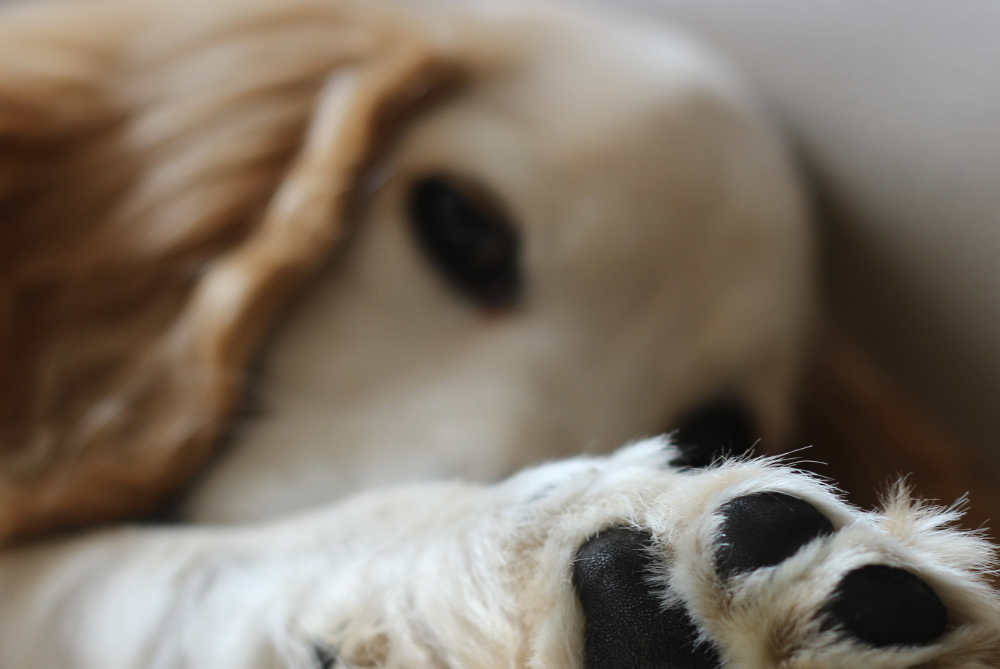 Травматология