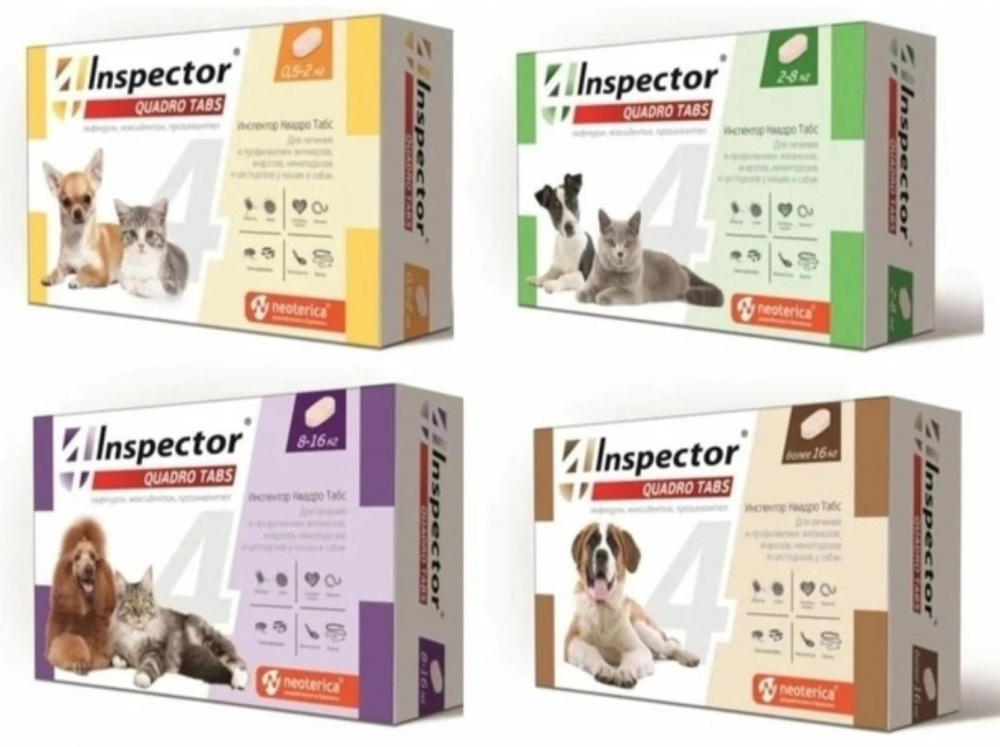 Inspector Quadro Tabs