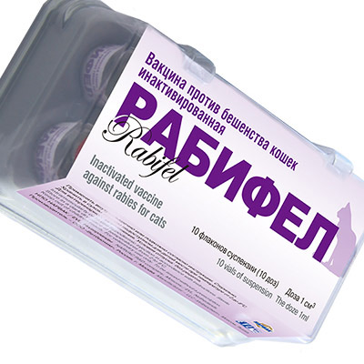 Рабифел