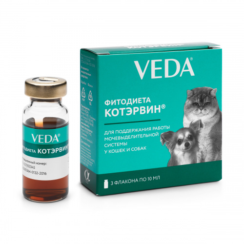 Котэрвин 