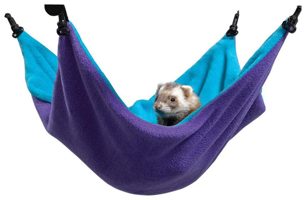 Гамак для хорька