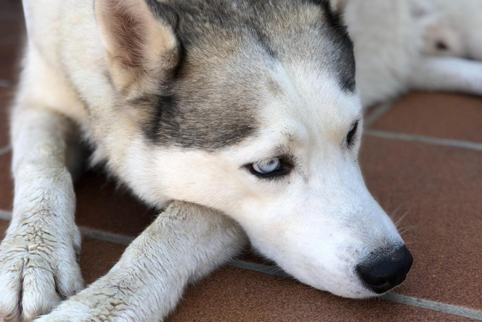  Прием врача 