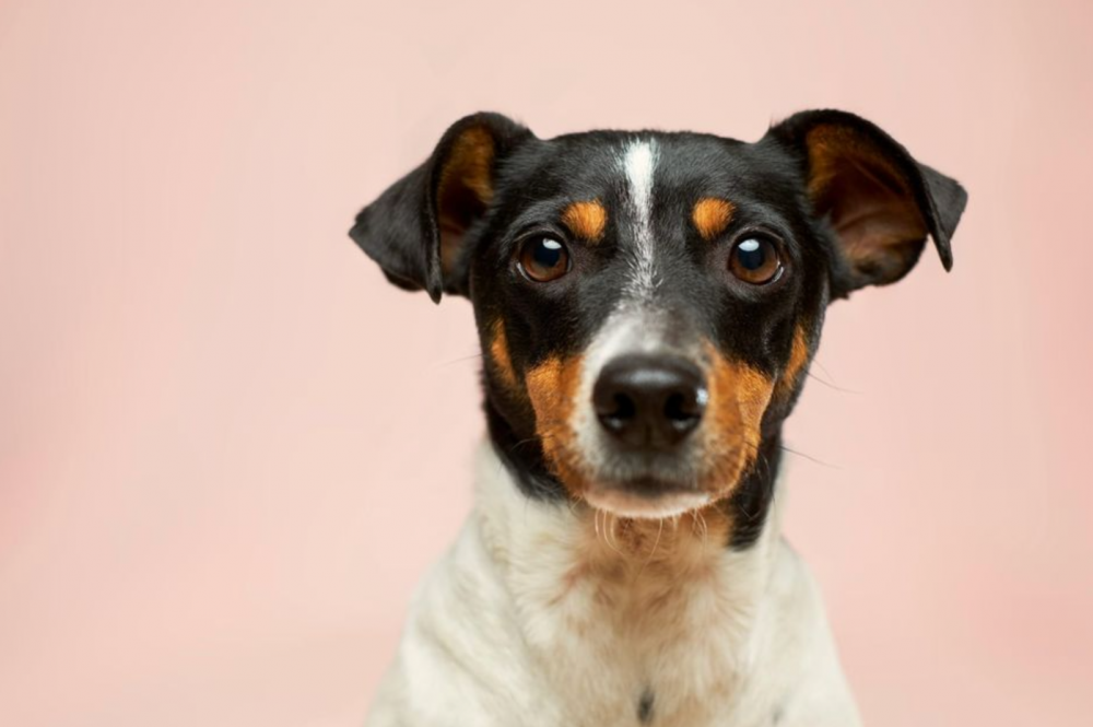 Абдоминальная хирургия