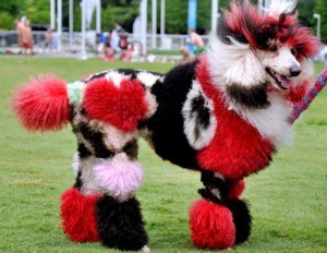 Что такое груминг