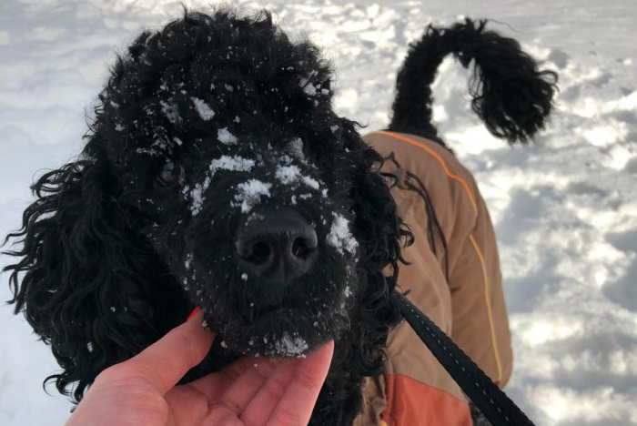 Стоматология