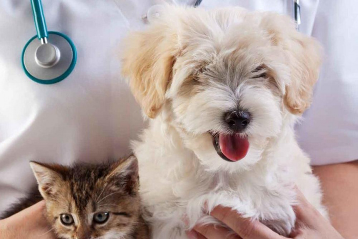 Интенсивная терапия