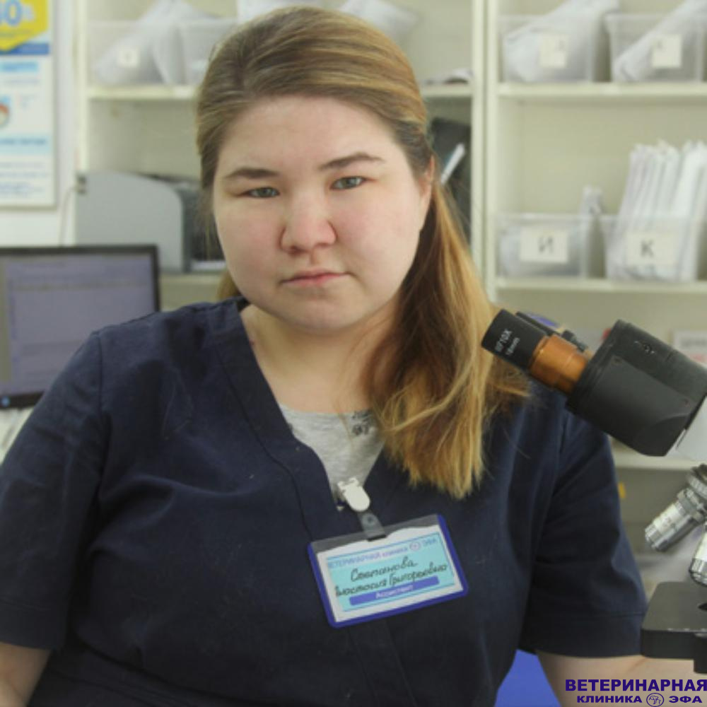 Степанова Анастасия Григорьевна